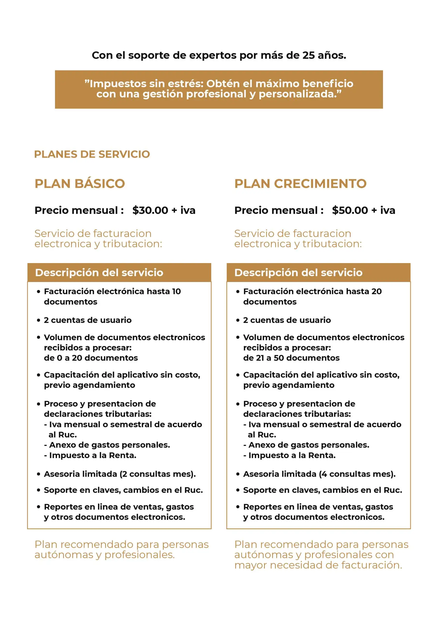 SERVICIO CONTTAX PLANES-03
