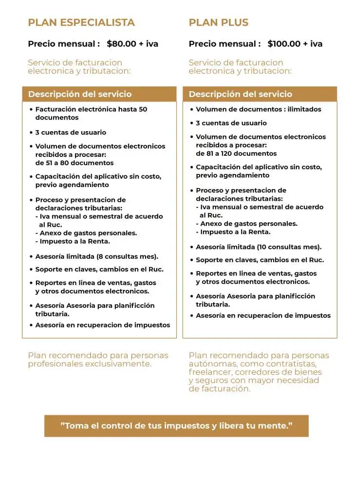 SERVICIO CONTTAX PLANES-04
